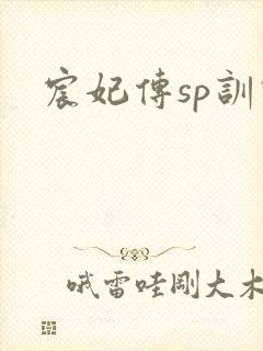 宸妃传sp训诫