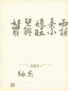 好儿媳秦雨罗明罗兴旺小说