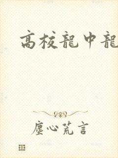 高校龙中龙封面