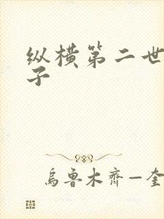 纵横第二世界宽子