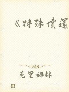 《特殊偿还》