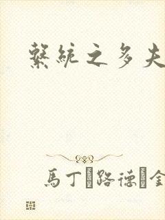 系统之多夫HP封面