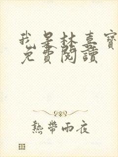 我是林喜宝小说免费阅读封面
