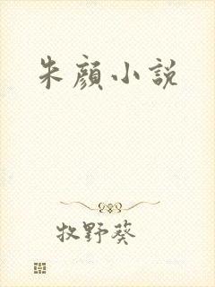 朱颜小说