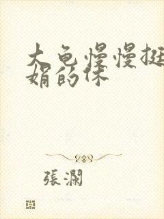 大龟慢慢挺进张娟的休封面