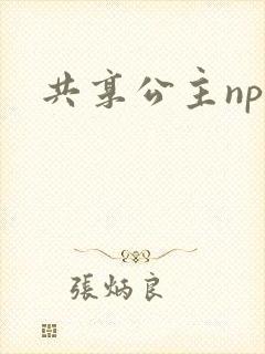共享公主npc封面