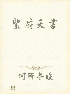 紫府天书