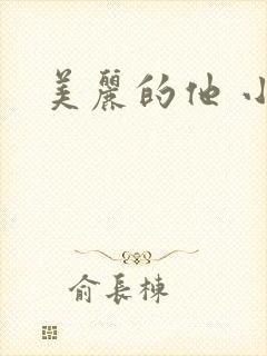 美丽的他 小说