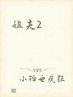 姐夫2