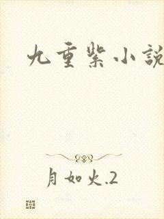 九重紫小说