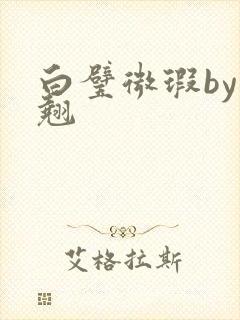 白璧微瑕by连翘