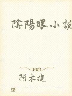阴阳眼小说