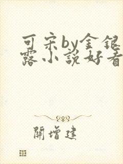 可宋by金银花露小说好看吗