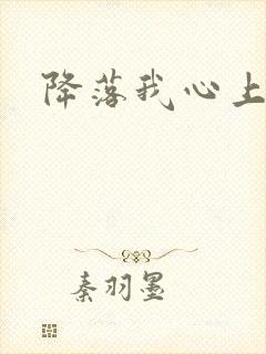 降落我心上