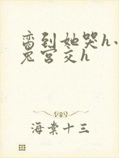 脔到她哭h小白兔宫交h封面