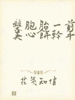 双胞胎一前一后夹心饼干年下