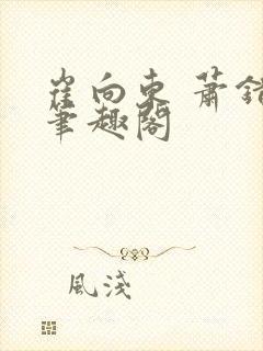 崔向东 萧错 笔趣阁