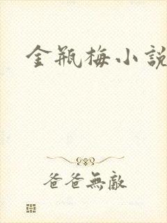 金瓶梅小说下载