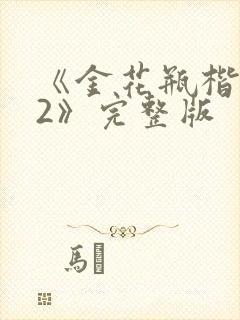 《金花瓶楷梅花2》完整版封面