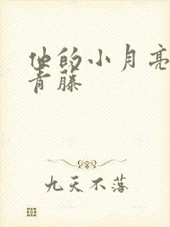 他的小月亮by青藤