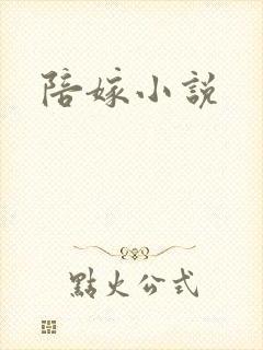 陪嫁小说封面