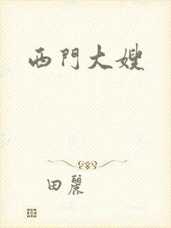 西门大嫂封面