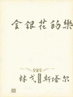 金银花的乐可封面