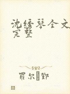 沈绣琴全文阅读完整封面