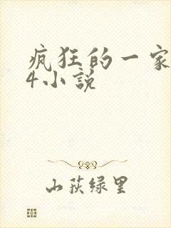 疯狂的一家ps4小说封面