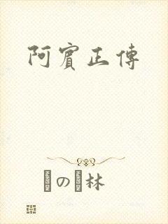 阿宾正传