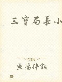 三宝局长小说