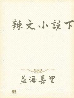 辣文小说下载封面