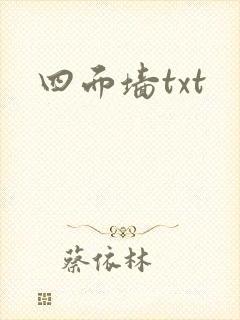 四面墙txt封面