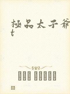极品太子爷txt