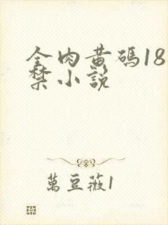 全肉黄码18无禁小说封面
