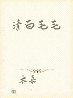清白毛毛