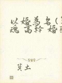 以婚为名 (军魂 高干 婚恋)封面