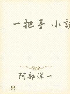一把手 小说