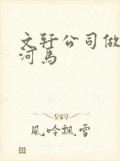 文轩公司做扩张河马
