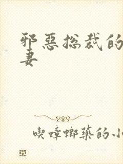 邪恶总裁的娇宠妻封面