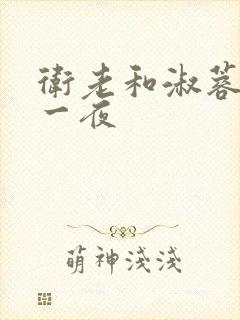 卫老和淑蓉销魂一夜封面