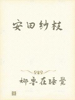 安田纱枝封面