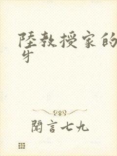 陆教授家的小月牙
