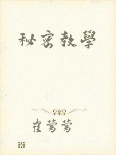 秘密教学封面