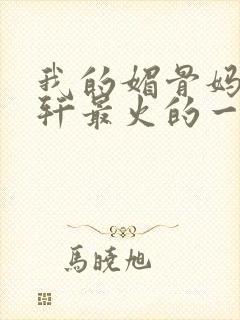 我的媚骨妈妈林轩最火的一句