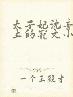 太子妃沈音和皇上的宠文小说