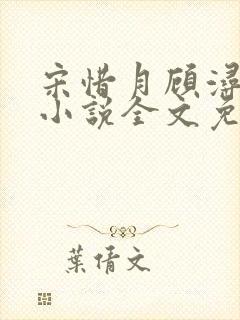 宋惜月顾浔渊的小说全文免费阅读