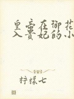 皇帝在御花园进入贵妃的小说封面