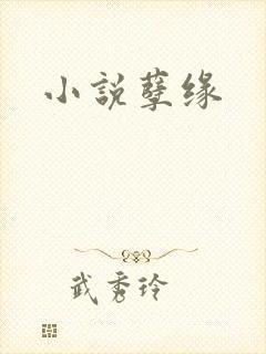 小说孽缘封面