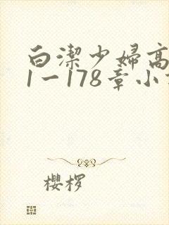白洁少妇高义第1一178章小说